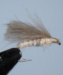 Delaware River fly fishing articles.